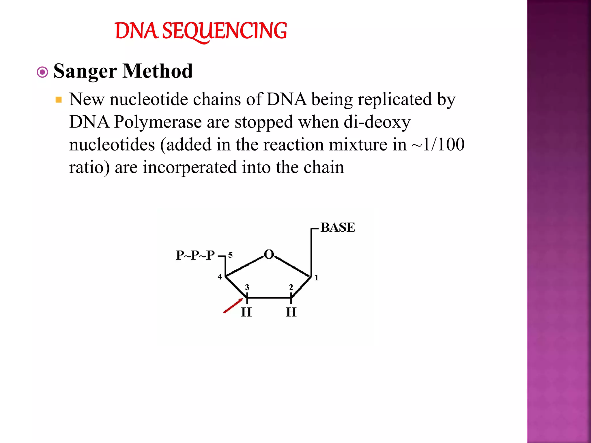  Sanger Method
 New nucleotide chains of DNA being replicated by
DNA Polymerase are stopped when di-deoxy
nucleotides (added in the reaction mixture in ~1/100
ratio) are incorperated into the chain
 