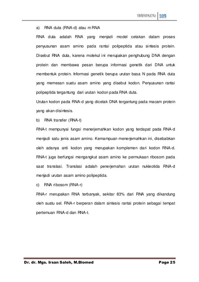 Dna Yang Mencetak Mrna Disebut Rantai DNA Informasi