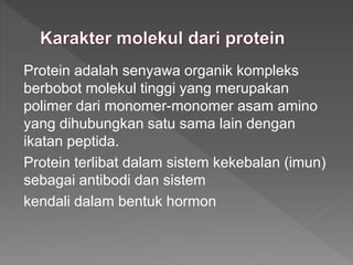 Protein adalah senyawa organik kompleks
berbobot molekul tinggi yang merupakan
polimer dari monomer-monomer asam amino
yang dihubungkan satu sama lain dengan
ikatan peptida.
Protein terlibat dalam sistem kekebalan (imun)
sebagai antibodi dan sistem
kendali dalam bentuk hormon
 