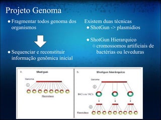 Projeto Genoma
●Fragmentar todos genoma dos
organismos
●Sequenciar e reconstituir
informação genômica inicial
Existem duas técnicas
●ShotGun -> plasmidios
●ShotGun Hierarquico
○cromossomos artificiais de
bactérias ou leveduras
 