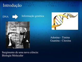 Introdução
DNA Informação genética
Surgimento de uma nova ciência:
Biologia Molecular
Adenina - Timina
Guanina - Citosina
 