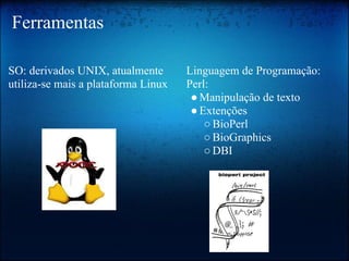 Ferramentas
Linguagem de Programação:
Perl:
●Manipulação de texto
●Extenções
○BioPerl
○BioGraphics
○DBI
SO: derivados UNIX, atualmente
utiliza-se mais a plataforma Linux
 