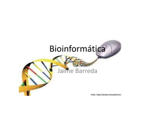 Bioinformática
Jaime Barreda
 