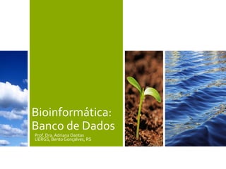 Bioinformática:
Banco de Dados
Prof. Dra. Adriana Dantas
UERGS, Bento Gonçalves, RS
 