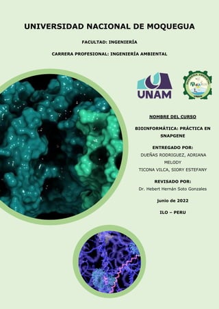 P á g i n a 1 | 10
|
UNIVERSIDAD NACIONAL DE MOQUEGUA
FACULTAD: INGENIERÍA
CARRERA PROFESIONAL: INGENIERÍA AMBIENTAL
NOMBRE DEL CURSO
BIOINFORMÁTICA: PRÁCTICA EN
SNAPGENE
ENTREGADO POR:
DUEÑAS RODRIGUEZ, ADRIANA
MELODY
TICONA VILCA, SIORY ESTEFANY
REVISADO POR:
Dr. Hebert Hernán Soto Gonzales
junio de 2022
ILO – PERU
 