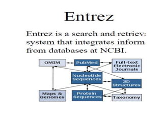 BIOINFO unit 1.pptx