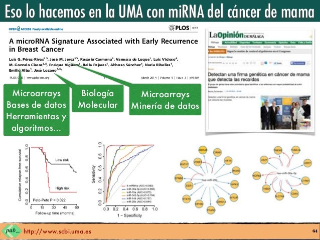 Bioinformatica Y Supercomputacion Razones Para Hacerse Bioinformatic