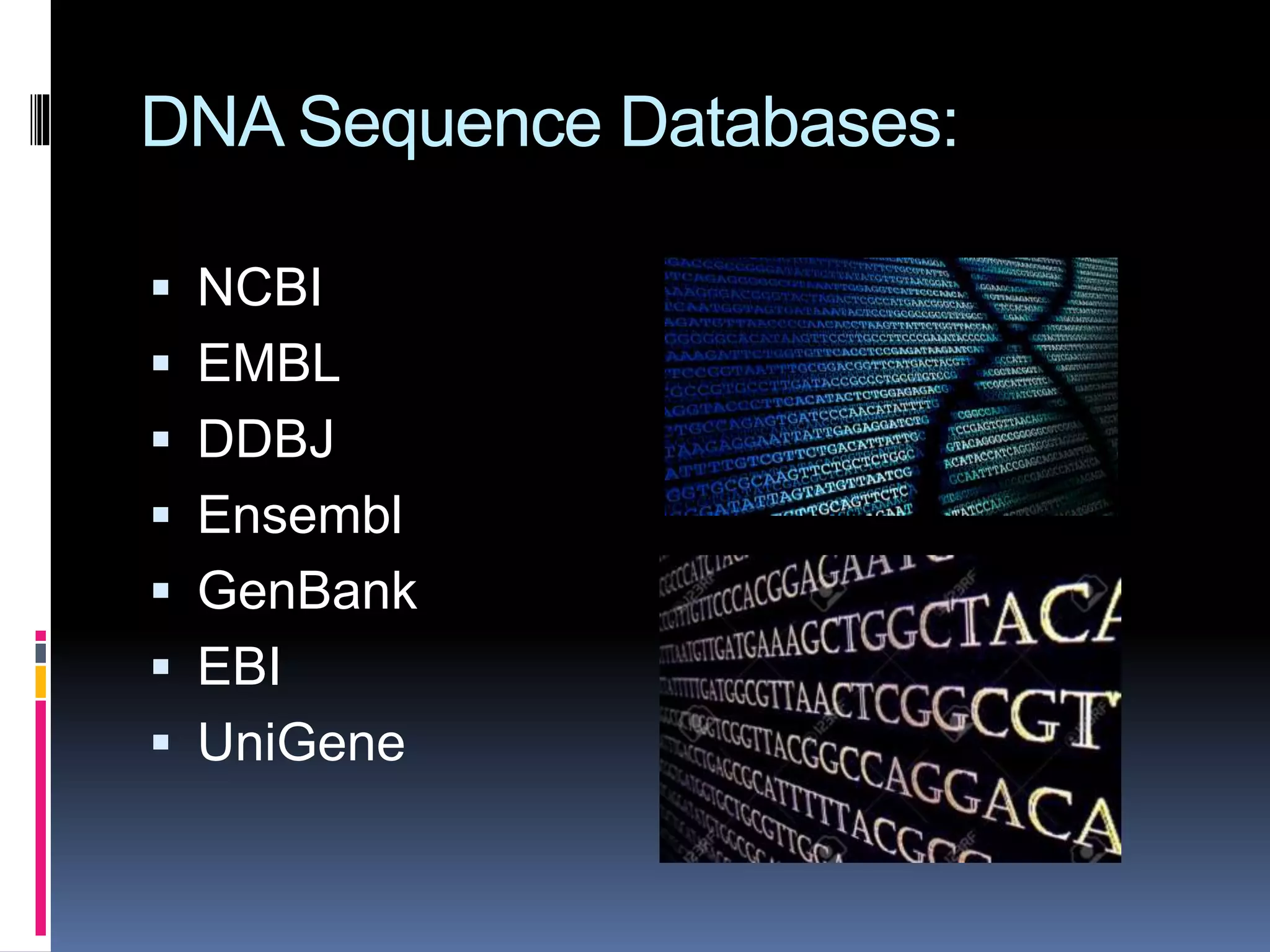 DNA Sequence Databases:
 NCBI
 EMBL
 DDBJ
 Ensembl
 GenBank
 EBI
 UniGene
 