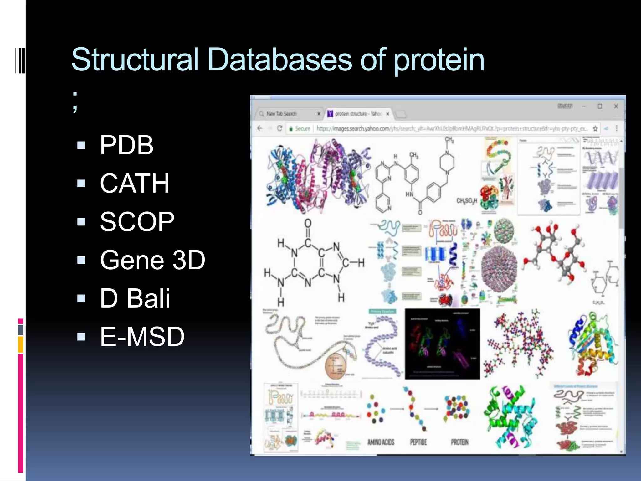 Structural Databases of protein
;
 PDB
 CATH
 SCOP
 Gene 3D
 D Bali
 E-MSD
 