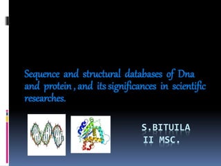 S.BITUILA
II MSC.
Sequence and structural databases of Dna
and protein , and its significances in scientific
researches.
 
