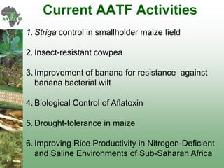 AATF: Facilitating access and delivery of appropriate technologies for smallholder farmers in Africa
