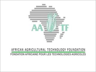 AATF: Facilitating access and delivery of appropriate technologies for smallholder farmers in Africa