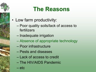 AATF: Facilitating access and delivery of appropriate technologies for smallholder farmers in Africa