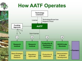 AATF: Facilitating access and delivery of appropriate technologies for smallholder farmers in Africa