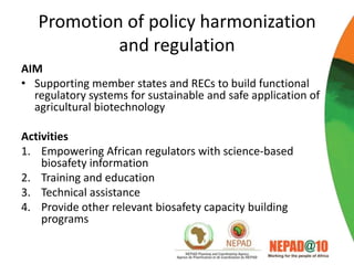 Science, technology and innovation strategy for Africa 2024