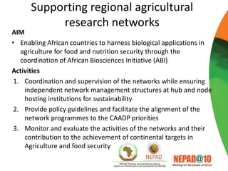 Science, technology and innovation strategy for Africa 2024