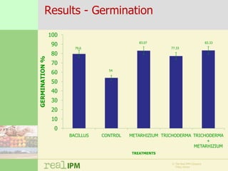 Biopesticide seed treatments for improved growth of maize seedlings