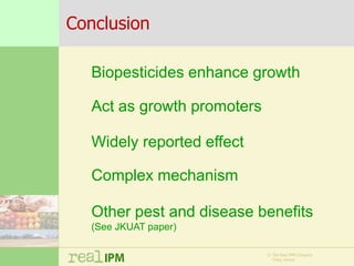 Biopesticide seed treatments for improved growth of maize seedlings