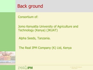 Biopesticide seed treatments for improved growth of maize seedlings