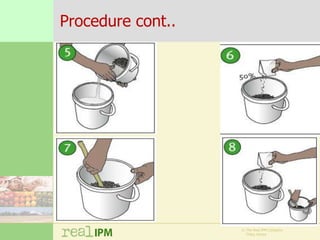 Biopesticide seed treatments for improved growth of maize seedlings