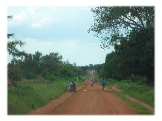 Bioscience innovation system in eastern Africa: Opportunities and challenges