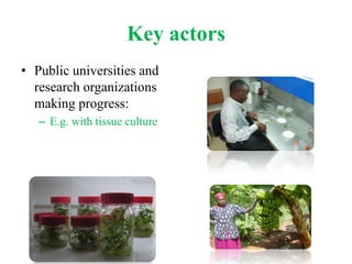 Bioscience innovation system in eastern Africa: Opportunities and challenges