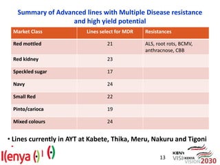 Advances in breeding bean for drought tolerance and canning quality in Kenya