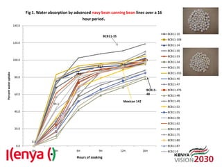 Advances in breeding bean for drought tolerance and canning quality in Kenya