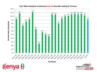 Advances in breeding bean for drought tolerance and canning quality in Kenya