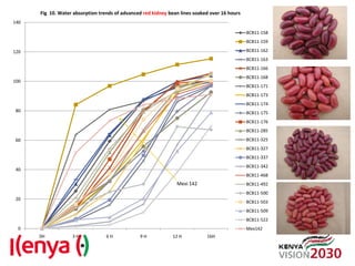 Advances in breeding bean for drought tolerance and canning quality in Kenya
