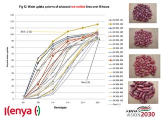 Advances in breeding bean for drought tolerance and canning quality in Kenya