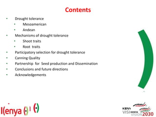 Advances in breeding bean for drought tolerance and canning quality in Kenya