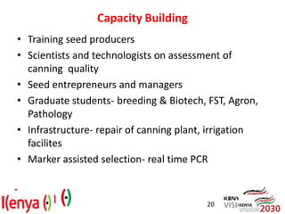 Advances in breeding bean for drought tolerance and canning quality in Kenya