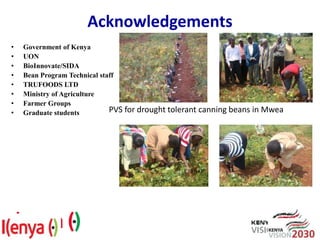 Advances in breeding bean for drought tolerance and canning quality in Kenya