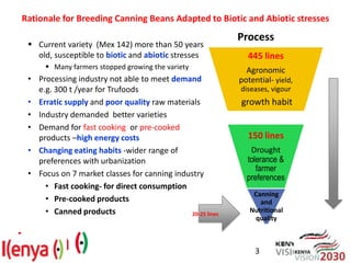 Advances in breeding bean for drought tolerance and canning quality in Kenya