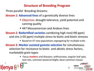 Advances in breeding bean for drought tolerance and canning quality in Kenya