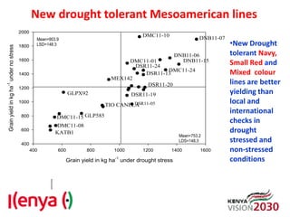 Advances in breeding bean for drought tolerance and canning quality in Kenya
