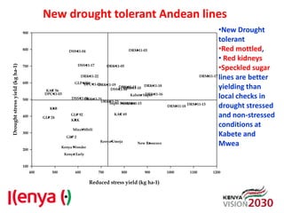 Advances in breeding bean for drought tolerance and canning quality in Kenya