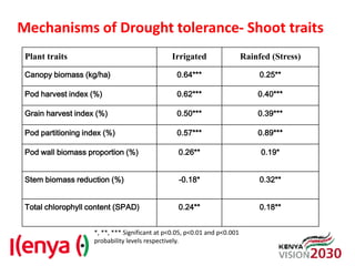 Advances in breeding bean for drought tolerance and canning quality in Kenya