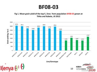 Breeding beans for nutritional quality, drought tolerance and productivity in Kenya
