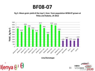 Breeding beans for nutritional quality, drought tolerance and productivity in Kenya