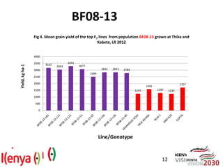 Breeding beans for nutritional quality, drought tolerance and productivity in Kenya