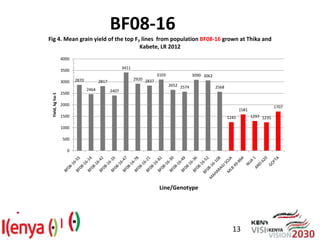 Breeding beans for nutritional quality, drought tolerance and productivity in Kenya