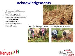 Breeding beans for nutritional quality, drought tolerance and productivity in Kenya