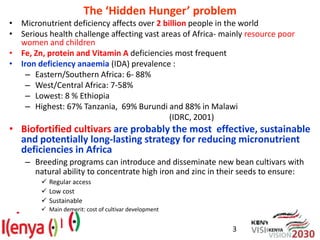 Breeding beans for nutritional quality, drought tolerance and productivity in Kenya