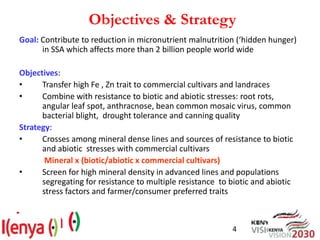 Breeding beans for nutritional quality, drought tolerance and productivity in Kenya