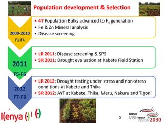 Breeding beans for nutritional quality, drought tolerance and productivity in Kenya