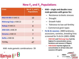 Breeding beans for nutritional quality, drought tolerance and productivity in Kenya