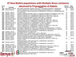 Breeding beans for nutritional quality, drought tolerance and productivity in Kenya