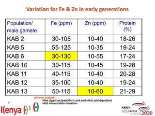 Breeding beans for nutritional quality, drought tolerance and productivity in Kenya